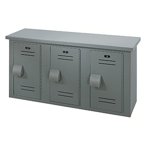 Lenox Lockers - Bradley Corp